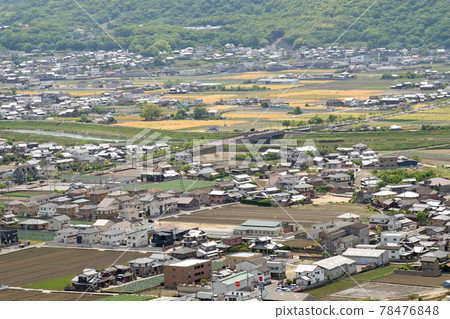 有農田的坂出平原的風景 78476848