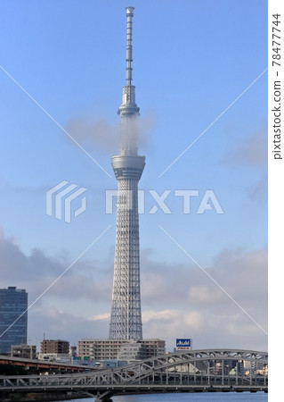 天空樹和白須橋 天空樹和白須橋 78477744