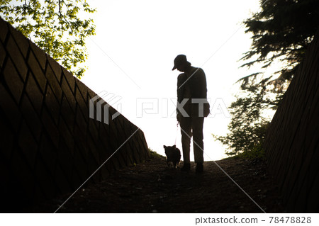 主人的女人帶著她的狗在夕陽下散步 主人的女人帶著她的狗在夕陽下散步 78478828