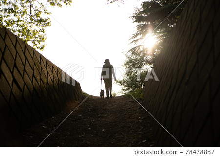 主人的女人帶著她的狗在夕陽下散步 主人的女人帶著她的狗在夕陽下散步 78478832