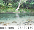 A mountain stream that feels cool 78479130