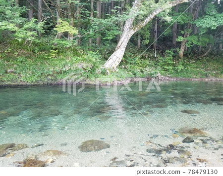 A mountain stream that feels cool 78479130