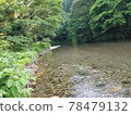 Great adventure upstream 78479132
