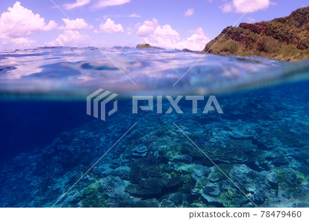 西表島海的半水面 西表島海的半水面 78479460