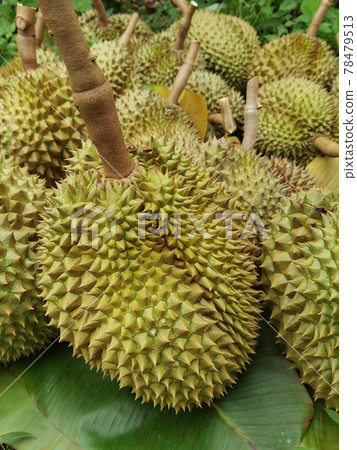 Top view of durian fruit  78479513