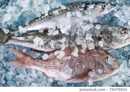 Close Up of Fresh Sea Fishes Lying on Crushed Ice. 78479854