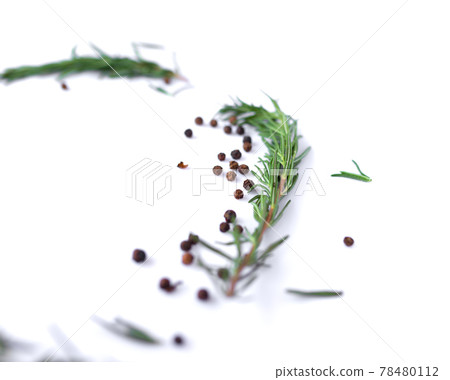 pepperand rosemary for cooking isolated on white background pepperand rosemary for cooking isolated on white background 78480112