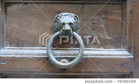 Door Knocker Door Knocker 78480189