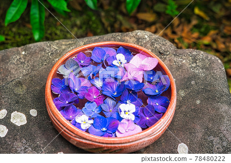 水花碗 水花碗 78480222
