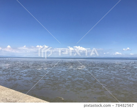 夏日的潮灘 78482567