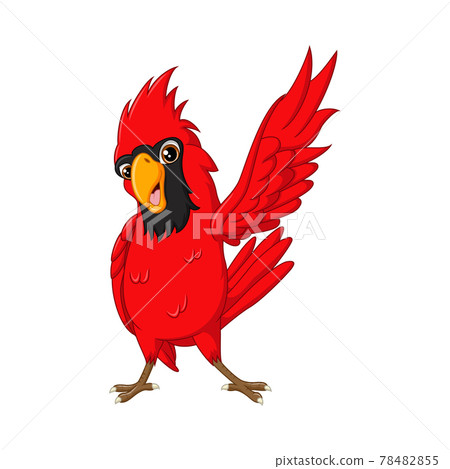 Cartoon Cardinal Bird Mascot Stock Illustration - Download Image