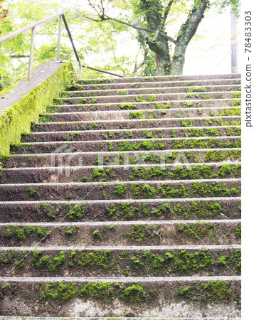 通往神社的長樓梯 通往神社的長樓梯 78483303