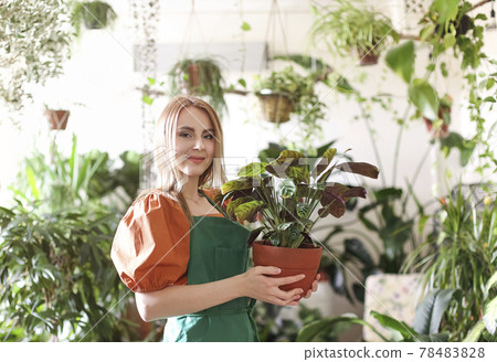 Woman taking care of green plants in shop 78483828