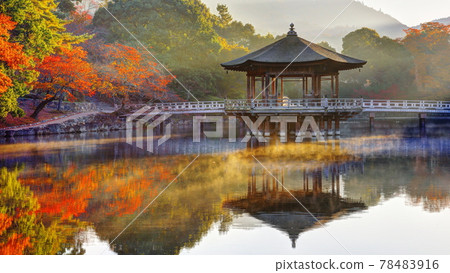 Ukimido的早晨 78483916