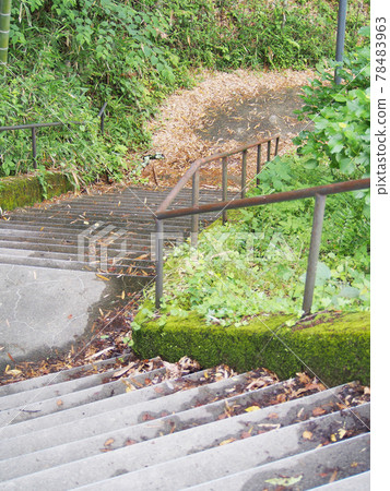 Long stairs to the shrine 78483963