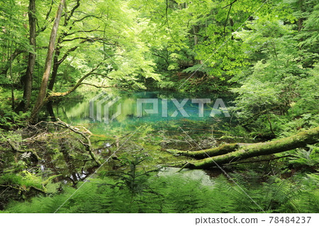 煮沸的池塘 78484237