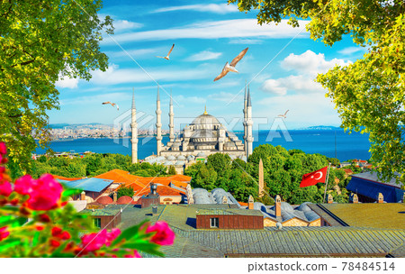 Blue Mosque and flowers 78484514