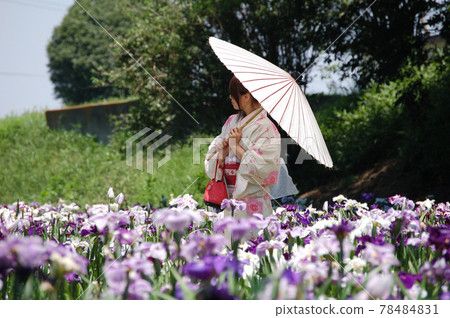 Kimono woman and irises 78484831