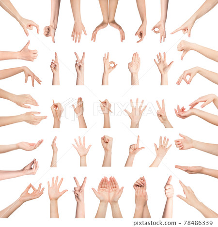 Collection of female hands gesturing on white background 78486339