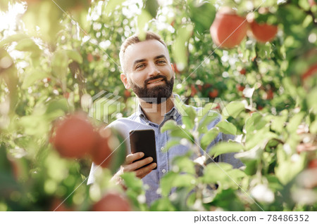 Modern farmer controls harvest for small business outside and production of juice 78486352