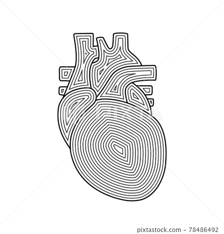 Human heart in in drawn line style. Doodle heart symbol Human heart in in drawn line style. Doodle heart symbol 78486492