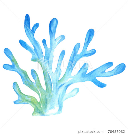 Illustration of blue coral 78487082