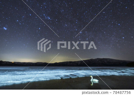 Winter starry sky and swan 78487756