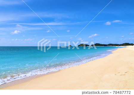 在海灘上擊敗的波浪 在海灘上擊敗的波浪 78487772