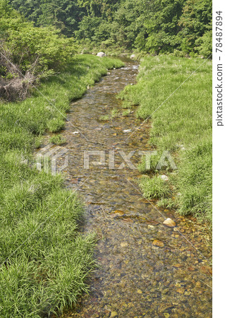 Water, grass, valley, river, stream, Jojongcheon, Gapyeong-gun, Gyeonggi-do Water, grass, valley, river, stream, Jojongcheon, Gapyeong-gun, Gyeonggi-do 78487894