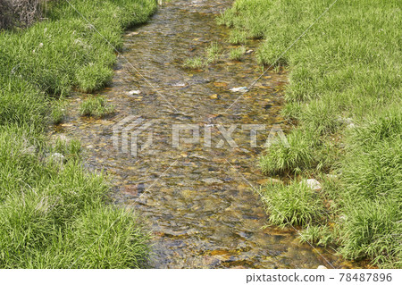 Water, grass, valley, river, stream, Jojongcheon, Gapyeong-gun, Gyeonggi-do Water, grass, valley, river, stream, Jojongcheon, Gapyeong-gun, Gyeonggi-do 78487896