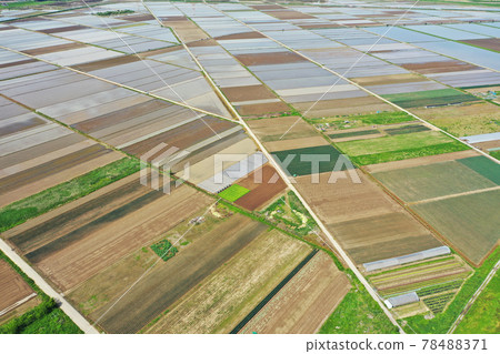 Aerial view of rice fields before rice planting Aerial view of rice fields before rice planting 78488371