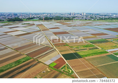 Aerial view of rice fields before rice planting 78488372