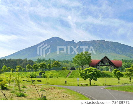 Mt. Iwate 2 Iwate Prefectural Forest 78489771