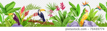 Jungle floral seamless border, vector tropical exotic nature background, toucan, paradise flower 78489774