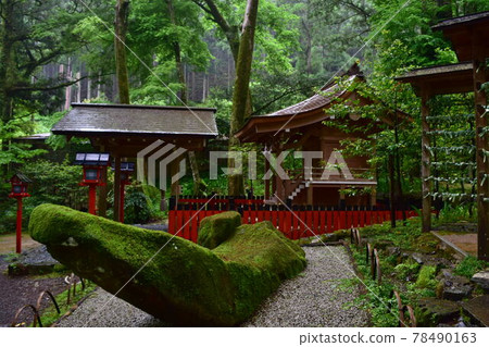 [Kyoto] Kifune Shrine Association and Fresh Green 78490163