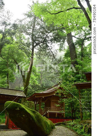 [Kyoto] Kifune Shrine Association and Fresh Green 78490164