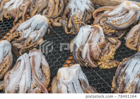 [Dried squid] 78491164