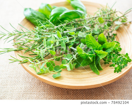 Kitchen herbs on the plate 78492104