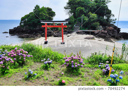 繡球花與荒平天神(菅原神社) 繡球花與荒平天神(菅原神社) 78492274