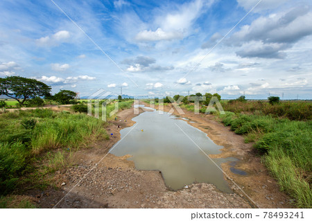 Thailand, Accidents and Disasters, Agricultural Field, Agriculture, Arid Climate 78493241
