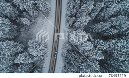 country road in winter season with fresh snow 78495239