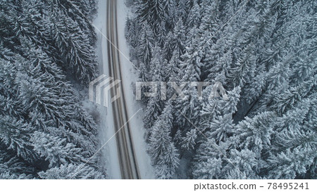 country road in winter season with fresh snow 78495241
