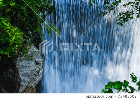 Fresh green and waterfall water flow ・ Late May (waterfall) Fresh green and waterfall water flow ・ Late May (waterfall) 78495502