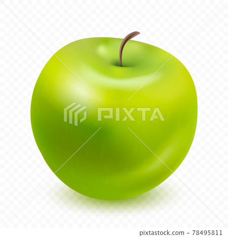 Green apple isolated on transparent background in a realistic style. Vector illustration. 78495811