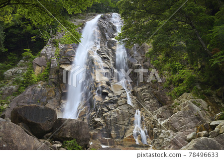 Aodaki (Komono Town, Mie District, Mie Prefecture) Aodaki (Komono Town, Mie District, Mie Prefecture) 78496633