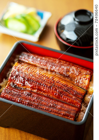 Eel Unagi Eel Eel Shige Eel Eel Unagi Eel Eel Shige Eel 78496640