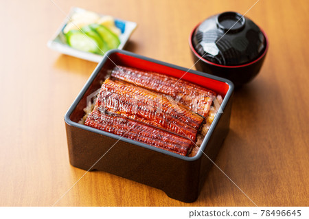 Eel Unagi Eel Eel Shige Eel Eel Unagi Eel Eel Shige Eel 78496645