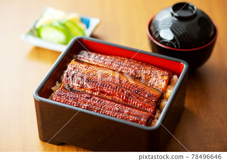 Eel Unagi Eel Eel Shige Eel Eel Unagi Eel Eel Shige Eel 78496646