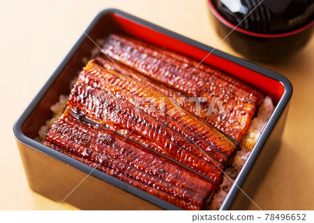 Eel Unagi Eel Eel Shige Eel 78496652