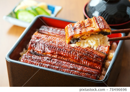 Eel Unagi Eel Eel Shige Eel 78496696